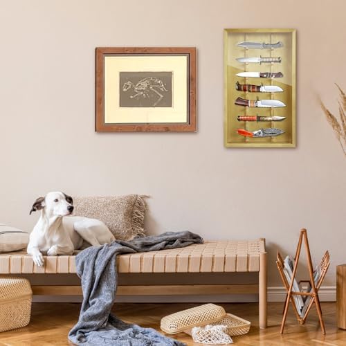 Triceratops Wooden Knife Display Stand with Lockable Acrylic Door
